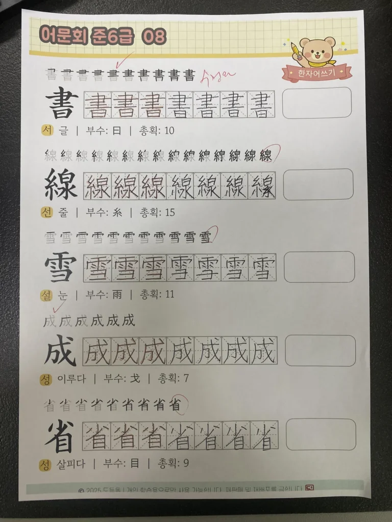 A Korean Hanja (Chinese characters) practice worksheet for the 'Level Junior 6' certification. The page features characters like 書 (Seo - writing), 線 (Seon - line), 雪 (Seol - snow), 成 (Seong - achieve), and 省 (Seong - examine). Each section shows the character's meaning, radical, and stroke count, along with practice grids to demonstrate the visual building blocks of Korean vocabulary.